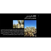 گوشی موبایل سامسونگ مدل Galaxy S23 Ultra دوسیم کارت ظرفیت 512 گیگابایت و رم 12G ویتنام